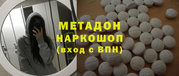ПСИЛОЦИБИНОВЫЕ ГРИБЫ Богданович
