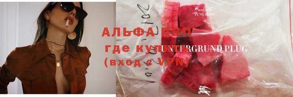 ПСИЛОЦИБИНОВЫЕ ГРИБЫ Богданович