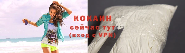ПСИЛОЦИБИНОВЫЕ ГРИБЫ Богданович