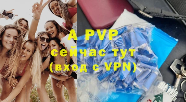 ПСИЛОЦИБИНОВЫЕ ГРИБЫ Богданович
