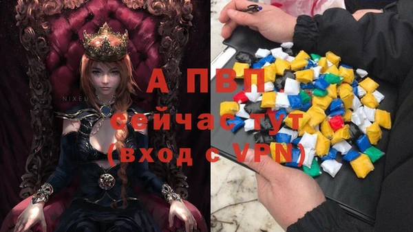 ПСИЛОЦИБИНОВЫЕ ГРИБЫ Богданович