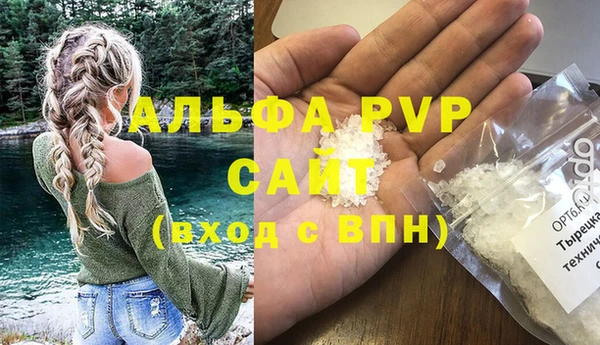 ПСИЛОЦИБИНОВЫЕ ГРИБЫ Богданович