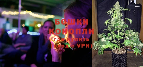 ПСИЛОЦИБИНОВЫЕ ГРИБЫ Богданович