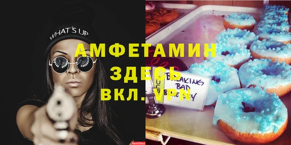 ПСИЛОЦИБИНОВЫЕ ГРИБЫ Богданович