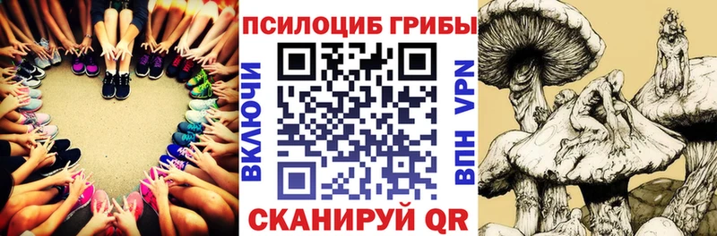 Псилоцибиновые грибы Cubensis  купить  цена  Ростов-на-Дону 
